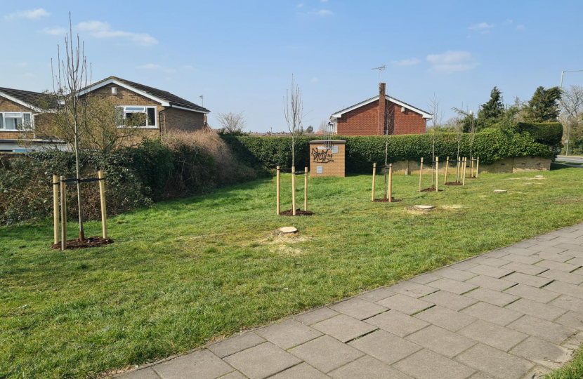 New Trees Elm Farm Road