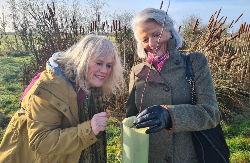 Wing Wood Planting