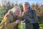 Wing Wood Planting