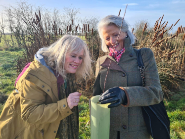 Wing Wood Planting