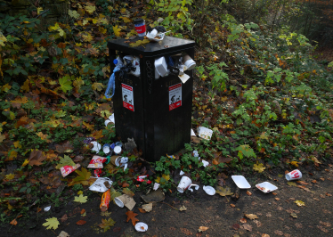 litter, bin overflowing 